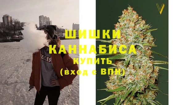 apvp Алзамай